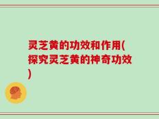 灵芝黄的功效和作用(探究灵芝黄的神奇功效)