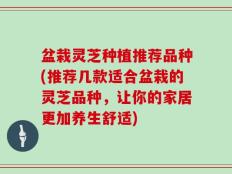 盆栽灵芝种植推荐品种(推荐几款适合盆栽的灵芝品种，让你的家居更加养生舒适)