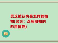 灵芝被认为是怎样的植物(灵芝：众所周知的药用植物)