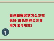 白色新鲜灵芝怎么吃效果好(白色新鲜灵芝食用方法与功效)