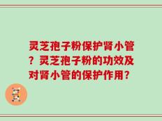 灵芝孢子粉保护肾小管？灵芝孢子粉的功效及对肾小管的保护作用？