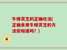 牛樟灵芝的正确吃法(正确食用牛樟灵芝的方法你知道吗？)