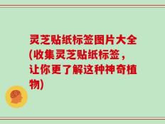 灵芝贴纸标签图片大全(收集灵芝贴纸标签，让你更了解这种神奇植物)