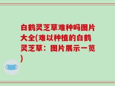 白鹤灵芝草难种吗图片大全(难以种植的白鹤灵芝草：图片展示一览)