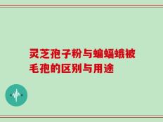 灵芝孢子粉与蝙蝠蛾被毛孢的区别与用途