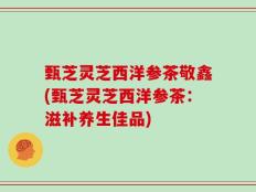 甄芝灵芝西洋参茶敬鑫(甄芝灵芝西洋参茶：滋补养生佳品)