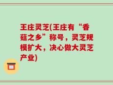 王庄灵芝(王庄有“香菇之乡”称号，灵芝规模扩大，决心做大灵芝产业)