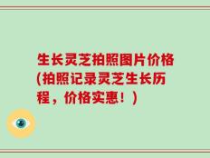 生长灵芝拍照图片价格(拍照记录灵芝生长历程，价格实惠！)