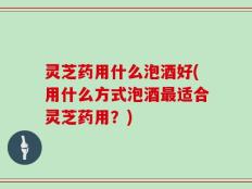灵芝药用什么泡酒好(用什么方式泡酒最适合灵芝药用？)