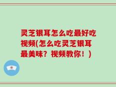 灵芝银耳怎么吃最好吃视频(怎么吃灵芝银耳最美味？视频教你！)