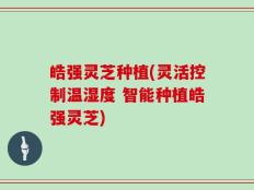 皓强灵芝种植(灵活控制温湿度 智能种植皓强灵芝)
