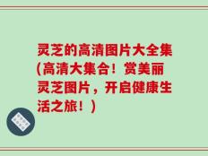 灵芝的高清图片大全集(高清大集合！赏美丽灵芝图片，开启健康生活之旅！)