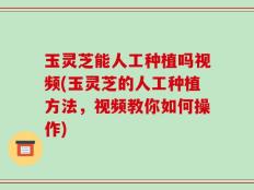 玉灵芝能人工种植吗视频(玉灵芝的人工种植方法，视频教你如何操作)