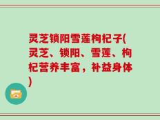 灵芝锁阳雪莲枸杞子(灵芝、锁阳、雪莲、枸杞营养丰富，补益身体)