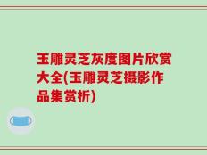 玉雕灵芝灰度图片欣赏大全(玉雕灵芝摄影作品集赏析)
