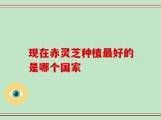现在赤灵芝种植最好的是哪个国家