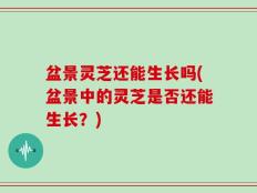 盆景灵芝还能生长吗(盆景中的灵芝是否还能生长？)