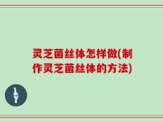灵芝菌丝体怎样做(制作灵芝菌丝体的方法)