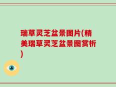 瑞草灵芝盆景图片(精美瑞草灵芝盆景图赏析)