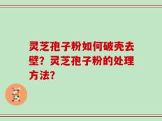 灵芝孢子粉如何破壳去壁？灵芝孢子粉的处理方法？
