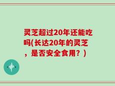 灵芝超过20年还能吃吗(长达20年的灵芝，是否安全食用？)