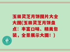 玉田灵芝月饼图片大全大图(玉田灵芝月饼盘点：丰富口味、精美包装，全景展示大图！)