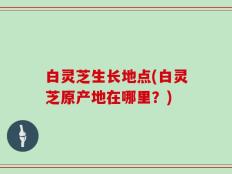 白灵芝生长地点(白灵芝原产地在哪里？)
