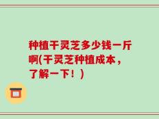 种植干灵芝多少钱一斤啊(干灵芝种植成本，了解一下！)