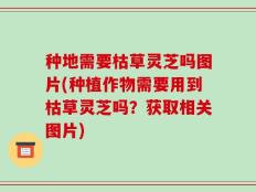 种地需要枯草灵芝吗图片(种植作物需要用到枯草灵芝吗？获取相关图片)