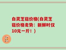 白灵芝菇价格(白灵芝菇价格走势：新鲜时仅10元一斤！)