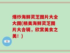 爆炒海鲜灵芝图片大全大图(精美海鲜灵芝图片大合辑，欣赏美食之美！)