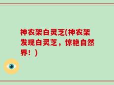 神农架白灵芝(神农架发现白灵芝，惊艳自然界！)
