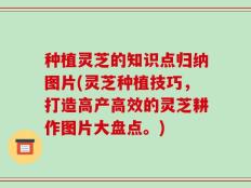 种植灵芝的知识点归纳图片(灵芝种植技巧，打造高产高效的灵芝耕作图片大盘点。)