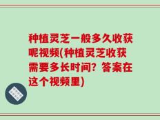 种植灵芝一般多久收获呢视频(种植灵芝收获需要多长时间？答案在这个视频里)