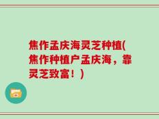 焦作孟庆海灵芝种植(焦作种植户孟庆海，靠灵芝致富！)