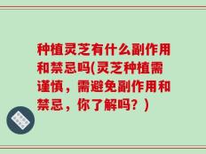 种植灵芝有什么副作用和禁忌吗(灵芝种植需谨慎，需避免副作用和禁忌，你了解吗？)