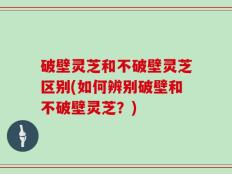 破壁灵芝和不破壁灵芝区别(如何辨别破壁和不破壁灵芝？)