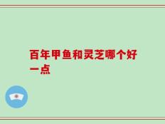 百年甲鱼和灵芝哪个好一点