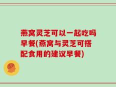 燕窝灵芝可以一起吃吗早餐(燕窝与灵芝可搭配食用的建议早餐)