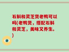 石斛和灵芝煲老鸭可以吗(老鸭煲，搭配石斛和灵芝，美味又养生。)