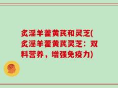 炙淫羊藿黄芪和灵芝(炙淫羊藿黄芪灵芝：双料营养，增强免疫力)