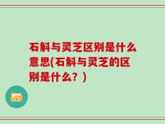石斛与灵芝区别是什么意思(石斛与灵芝的区别是什么？)