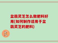 盆栽灵芝怎么做肥料好用(如何制作适用于盆栽灵芝的肥料)