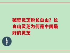 破壁灵芝粉长白山？长白山灵芝为何是中国最好的灵芝