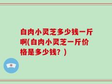 白肉小灵芝多少钱一斤啊(白肉小灵芝一斤价格是多少钱？)