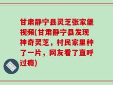 甘肃静宁县灵芝张家堡视频(甘肃静宁县发现神奇灵芝，村民家里种了一片，网友看了直呼过瘾)