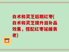 白术和灵芝后期红枣(白术和灵芝提升滋补品效果，搭配红枣延缓衰老)