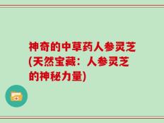 神奇的中草药人参灵芝(天然宝藏：人参灵芝的神秘力量)