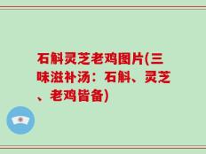 石斛灵芝老鸡图片(三味滋补汤：石斛、灵芝、老鸡皆备)