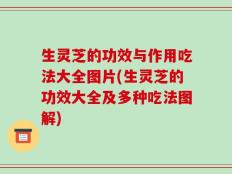 生灵芝的功效与作用吃法大全图片(生灵芝的功效大全及多种吃法图解)